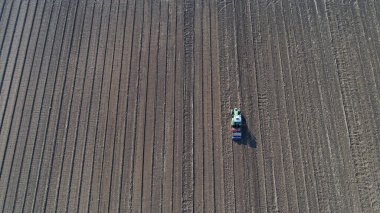 Çiftçiler Kuzey Çin 'deki çiftliklerde buğday yetiştirmek için ekicileri kullanır.