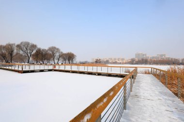 Waterfront City kar manzarası, Kuzey Çin