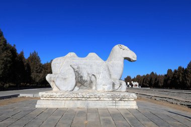 Çin 'deki Qing Hanedanlığı' nın doğu mozolesinde taş oymalar yapıldı.