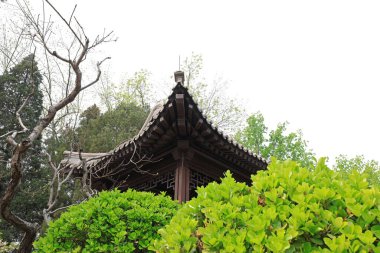 Çin klasik mimarisi ve parktaki yeşil bitkiler, Pekin