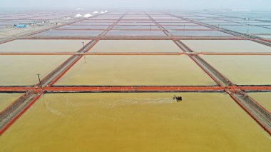 İşçiler, Kuzey Çin 'deki tuz tarlalarında iş gücü üretmek için makineler kullanıyorlar.