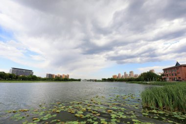 Waterfront City Mimarlık, Kuzey Çin