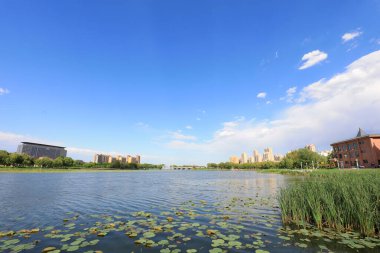 Waterfront City Mimarlık, Kuzey Çin