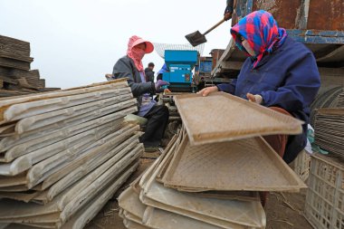 LUANNAN COUNTY, Çin - 12 Nisan 2021: çiftçiler fide tepsilerine pirinç ekmek için makineler kullanıyorlar