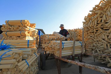 LUANNAN COUNTY, Çin - 25 Kasım 2021: işçiler Kuzey Çin 'deki bir fabrikada işlenmek üzere kütükleri topluyorlar