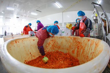 LUANNAN COUNTY, Çin - 18 Şubat 2022: işçiler Kuzey Çin 'deki turşu üretim hattı üzerinde sıkı çalışıyorlar