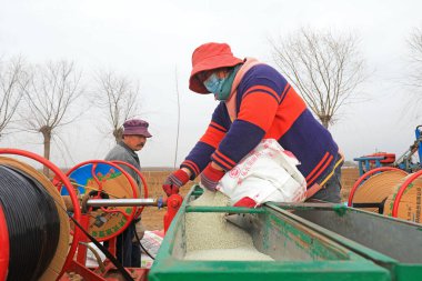 LUANNAN COUNTY, Çin - 16 Mart 2022 Çiftçiler Kuzey Çin 'deki çiftliğe gübre ekiyorlar