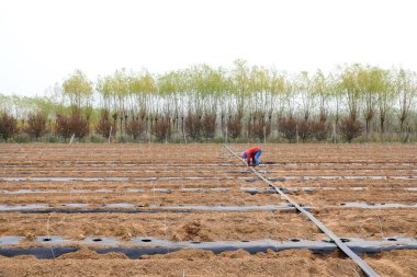 LUANNAN COUNTY, Çin - 14 Nisan 2022: Çiftçiler Kuzey Çin 'deki su tasarrufu borularının akışını kontrol ediyorlar