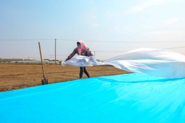 LUANNAN COUNTY, Çin - 14 Nisan 2022: Çiftçiler, sıcaklığı ve nemi korumak için pirinç filizleme tepsisini dokumasız kumaş ve plastik film ile kaplıyorlar.