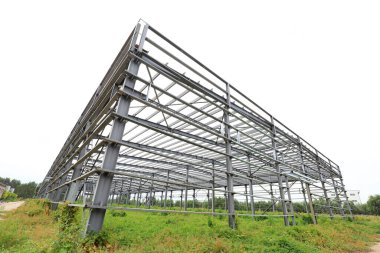 Bitkinin çelik kiriş iskeleti otların içinde.