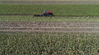 Çiftçiler tarım makinelerini tarım arazilerinde fıstık toplamak ve hava fotoğrafları çekmek için kullanıyorlar, Kuzey Çin