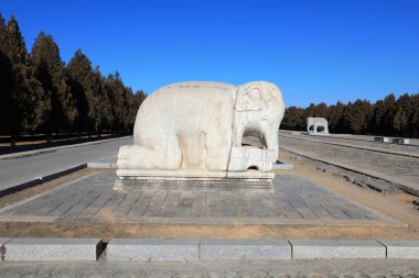 Çin 'deki Qing Hanedanlığı' nın doğu mozolesinde taş oymalar yapıldı.