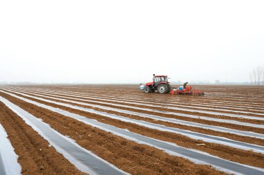 LUANNAN COUNTY, Hebei Eyaleti, Çin - 2 Nisan 2021: Çiftçiler ekicileri çiftliğe plastik mısır ekmeleri için sürüyorlar