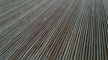 Tarlada sadece plastik film mısır, hava fotoğrafı ve Kuzey Çin var.