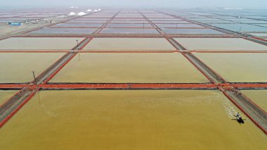 İşçiler, Kuzey Çin 'deki tuz tarlalarında iş gücü üretmek için makineler kullanıyorlar.