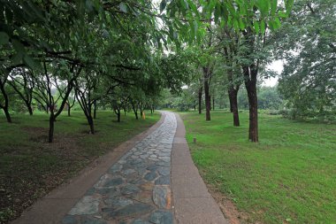Yol Pekin Botanik Bahçesi, Çin 'de.