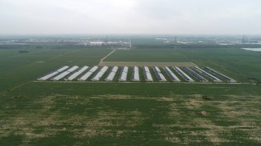 Kuzey Çin Ovası Pastoral Manzarası