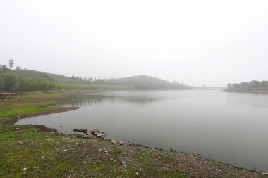 Bulanık gölgelik, yakın plan fotoğraf