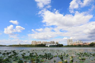 Güneşli deniz kenarı mimari manzarası, Kuzey Chin