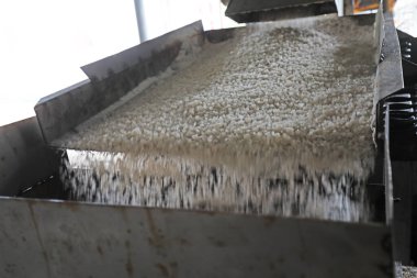 Fabrikadaki çiğ tuz titreşimli ezici çalışıyor.