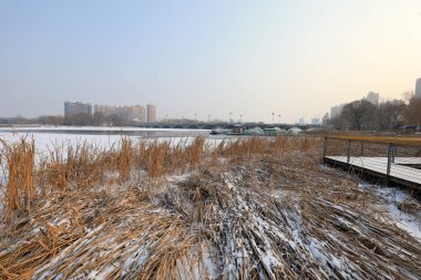 Şehir Parkı kar manzarası, Kuzey Çin