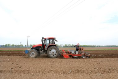 LUANNAN COUNTY, Çin - 26 Nisan 2021: Çiftçiler çiftliklerde plastik kaplı fıstık yetiştirmek için ekicileri kullanır.