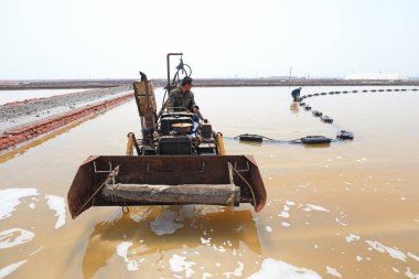 LUANNAN COUNTY, Çin - 27 Nisan 2021: işçiler, Kuzey Çin 'deki bir tuz tarlasında çalışmak için makineler kullanıyorlar.