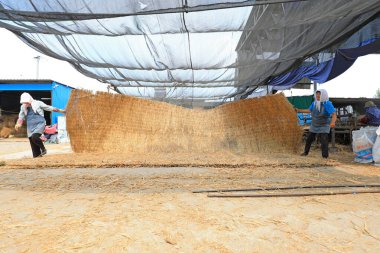 LUANNAN COUNTY, Çin - 30 Ağustos 2021: Çiftçiler Kuzey Çin 'deki bir çiftlikte mekanik saman perdeleri kullanıyorlar