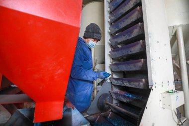 LUANNAN COUNTY, Çin - 18 Şubat 2022: İşçiler mısır tohumlarının kaplama durumunu kontrol ediyorlar, Kuzey Chin