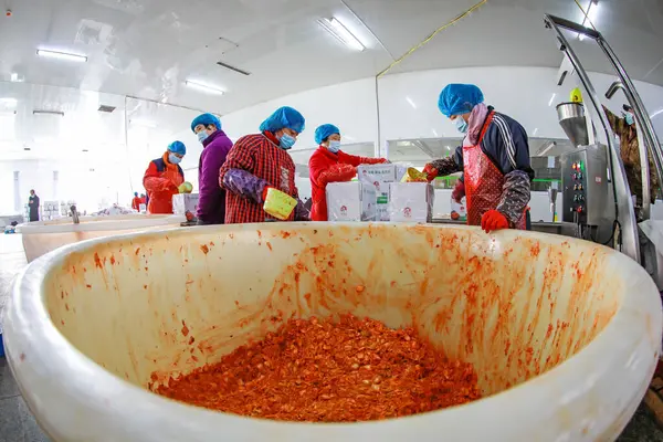 LUANNAN COUNTY, Çin - 18 Şubat 2022: işçiler Kuzey Çin 'deki turşu üretim hattı üzerinde sıkı çalışıyorlar