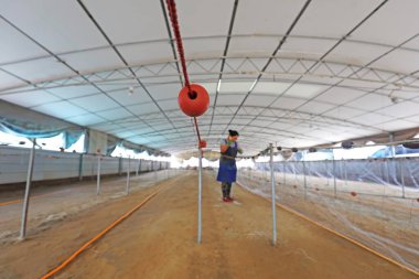 LUANNAN COUNTY, Çin - 19 Temmuz 2021: işçiler Çin 'deki bir balıkçı ağı işleme tesisinde yengeç ağlarını elle işliyorlar