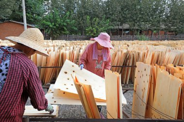 LUANNAN COUNTY, Çin - 9 Eylül 2021: Ahşap işleme fabrikası işçileri Kuzey Çin 'de odun parçaları kurutuyorlar.