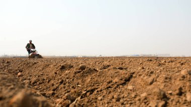 LUANNAN COUNTY, Hebei Eyaleti, Çin - 1 Nisan 2021: çiftçiler taro yetiştirirken tarım makineleri kullanıyorlar