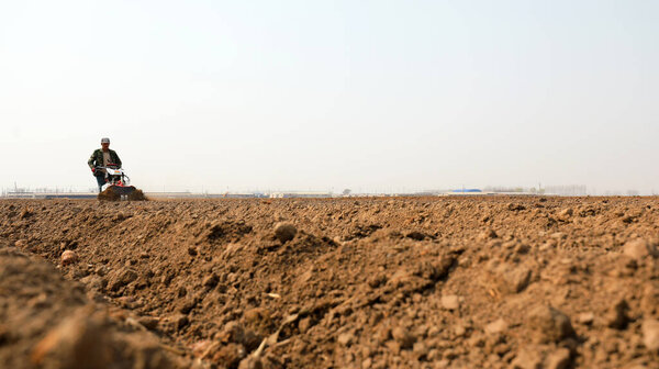 LUANNAN COUNTY, Hebei Province, China - April 1, 2021: farmers drive agricultural machinery while planting taro on a farm