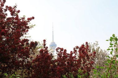 Çin 'deki CCTV Kulesi Manzarası
