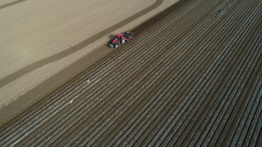 Farmers use planters to plant plastic coated peanuts on farms, North China clipart