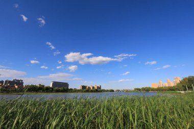 Liman şehri manzarası, Kuzey Çin