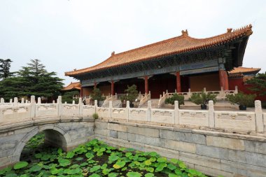 Yeşil nilüfer yaprakları Pekin 'deki antik taş köprünün yanındadır.