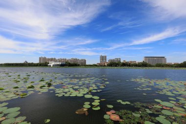 Mavi gökyüzü ve beyaz bulutlar altında güzel deniz manzarası, Kuzey Çin
