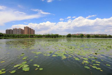 Waterfront City Mimarlık, Kuzey Çin