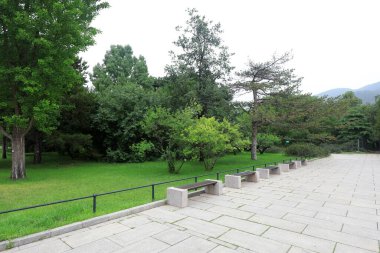 Pekin Botanik Bahçesinde çimen ve bitkiler