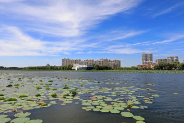 Mavi gökyüzü ve beyaz bulutlar altında güzel deniz manzarası, Kuzey Çin