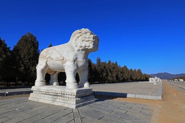 Çin 'deki Qing Hanedanlığı' nın doğu mozolesinde taş oymalar yapıldı.