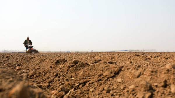 LUANNAN COUNTY, Hebei Province, China - April 1, 2021: farmers drive agricultural machinery while planting taro on a farm