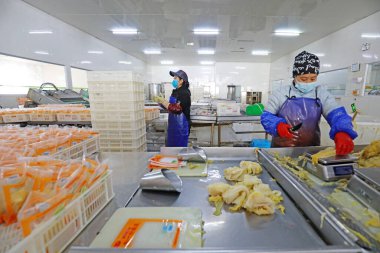 LUANNAN COUNTY, Çin - 18 Şubat 2022: işçiler Kuzey Çin 'deki turşu üretim hattı üzerinde sıkı çalışıyorlar