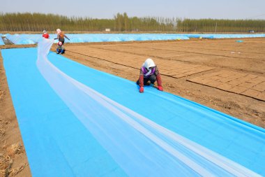 LUANNAN COUNTY, Çin - 14 Nisan 2022: Çiftçiler, sıcaklığı ve nemi korumak için pirinç filizleme tepsisini dokumasız kumaş ve plastik film ile kaplıyorlar.