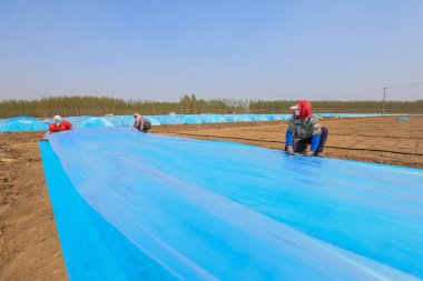 LUANNAN COUNTY, Çin - 14 Nisan 2022: Çiftçiler, sıcaklığı ve nemi korumak için pirinç filizleme tepsisini dokumasız kumaş ve plastik film ile kaplıyorlar.