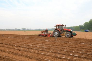 LUANNAN COUNTY, Çin - 26 Nisan 2021: Çiftçiler çiftliklerde plastik kaplı fıstık yetiştirmek için ekicileri kullanır.