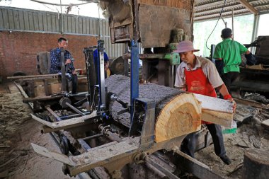 LUANNAN COUNTY, Çin - 9 Eylül 2021: Ahşap işleme fabrikası işçileri Kuzey Çin 'de ahşap tahtaları işliyorlar.