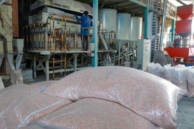 LUANNAN COUNTY, Çin - 18 Şubat 2022: İşçiler Kuzey Çin 'deki üretim atölyesinde yüksek kaliteli mısır tohumları ayırıyorlar
